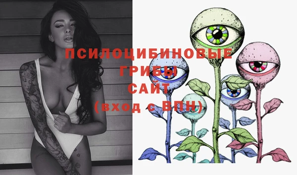 прущие крисы Кодинск