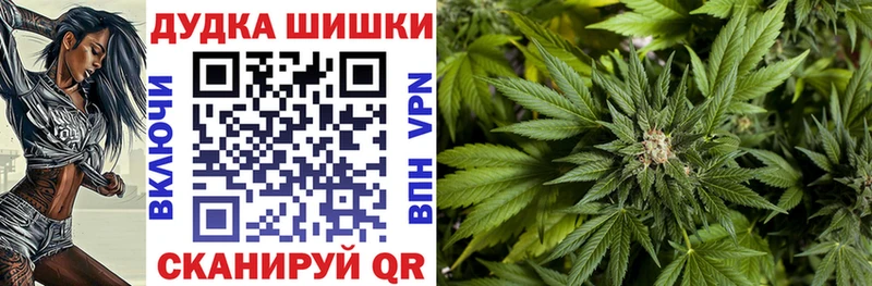 Купить закладки  Бодайбо  Каннабис план 